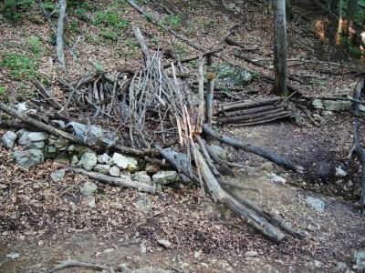 Прикрепленное изображение: 270.JPG